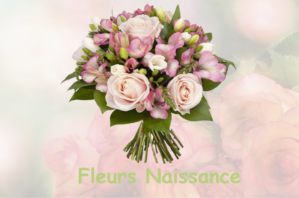 fleurs naissance BROUSSY-LE-GRAND